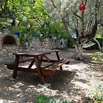 Casa de Férias Olive Grove Mansion - Koesedere Village Karaburun (Izmir)