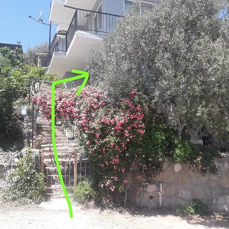 Olive Grove Mansion - Koesedere Village Hébergement de vacances *