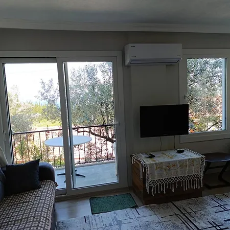 Hébergement de vacances Olive Grove Mansion - Koesedere Village