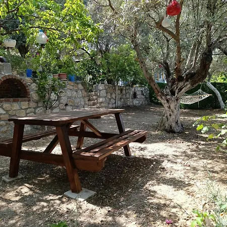 Semesterbostad Olive Grove Mansion - Kösedere Village *