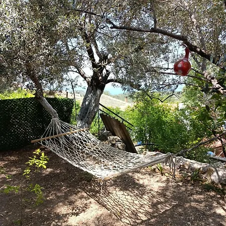 Olive Grove Mansion - Koesedere Village *