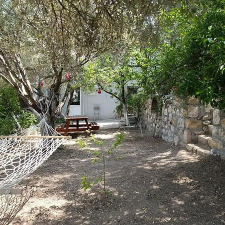 Semesterbostad Olive Grove Mansion - Kösedere Village Karaburun (Izmir)