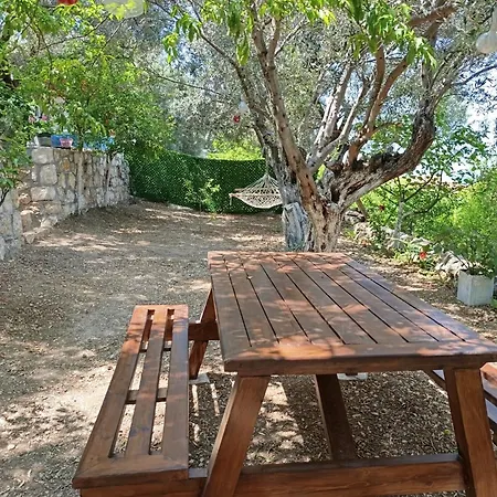 Olive Grove Mansion - Koesedere Village Hébergement de vacances Karaburun (Izmir)