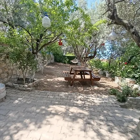 Semesterbostad Olive Grove Mansion - Kösedere Village *