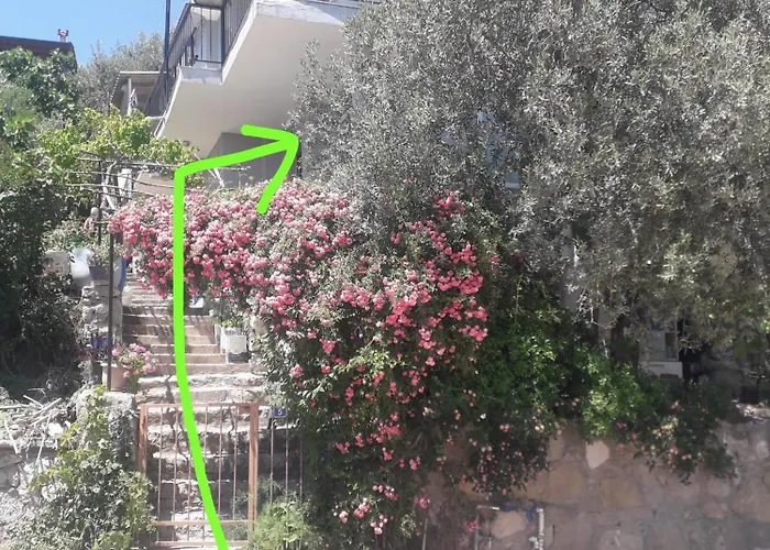 Olive Grove Mansion - Kösedere Village Semesterbostad *
