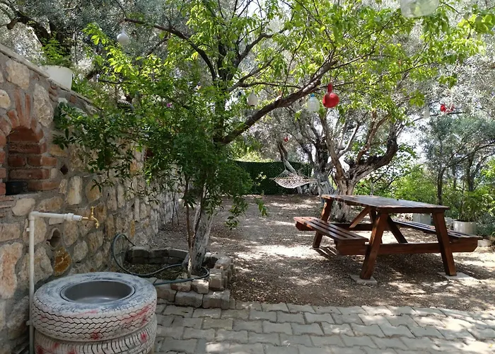 Semesterbostad Olive Grove Mansion - Kösedere Village Karaburun (Izmir)