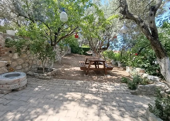 Semesterbostad Olive Grove Mansion - Kösedere Village *