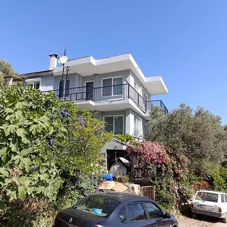 Olive Grove Mansion - Koesedere Village Karaburun (Izmir)