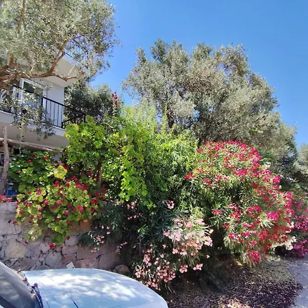 Olive Grove Mansion - Koesedere Village * Karaburun (Izmir)