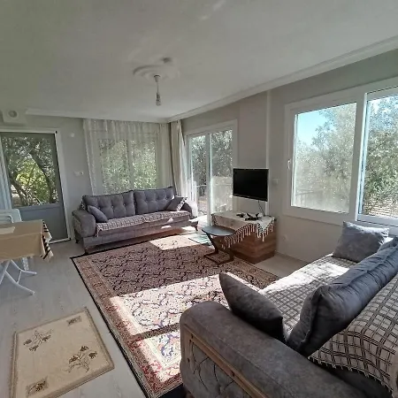 Olive Grove Mansion - Koesedere Village *