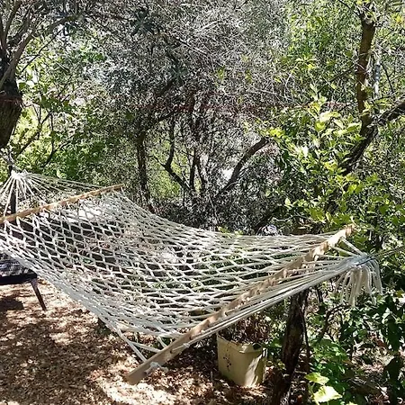 Olive Grove Mansion - Koesedere Village