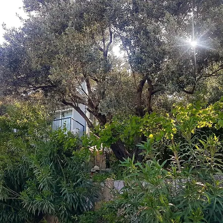 Olive Grove Mansion - Koesedere Village Karaburun (Izmir)