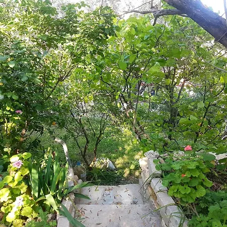 Olive Grove Mansion - Koesedere Village Holiday home