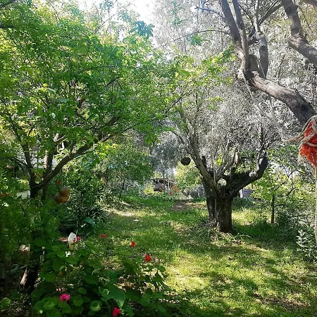 Holiday home Olive Grove Mansion - Koesedere Village