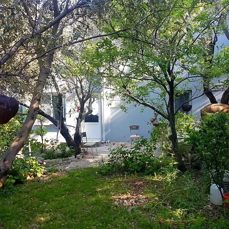 Olive Grove Mansion - Koesedere Village * Karaburun (Izmir)