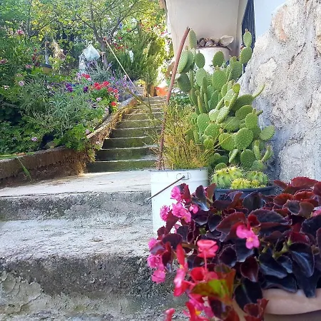 Holiday home Olive Grove Mansion - Koesedere Village