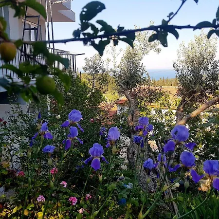 Olive Grove Mansion - Koesedere Village Holiday home *