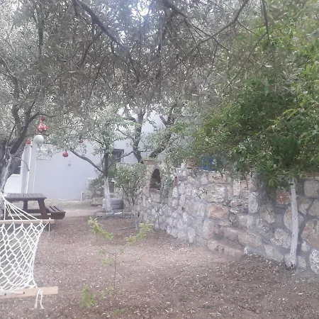 Holiday home Olive Grove Mansion - Koesedere Village Karaburun (Izmir)