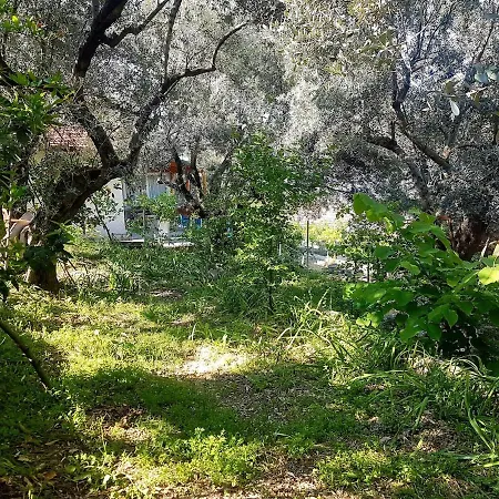 Olive Grove Mansion - Koesedere Village *