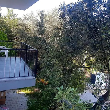 Olive Grove Mansion - Koesedere Village Holiday home