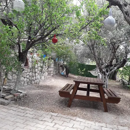 Olive Grove Mansion - Koesedere Village * Karaburun (Izmir)