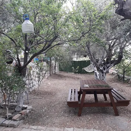 Holiday home Olive Grove Mansion - Koesedere Village