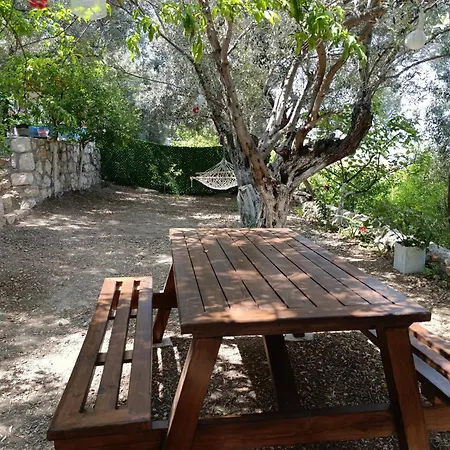 Prázdninový dům Olive Grove Mansion - Koesedere Village Karaburun (Izmir)