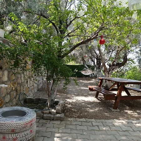 Semesterbostad Olive Grove Mansion - Kösedere Village Karaburun (Izmir)