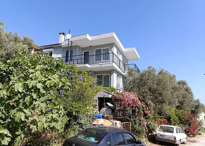 Olive Grove Mansion - Koesedere Village Karaburun (Izmir)