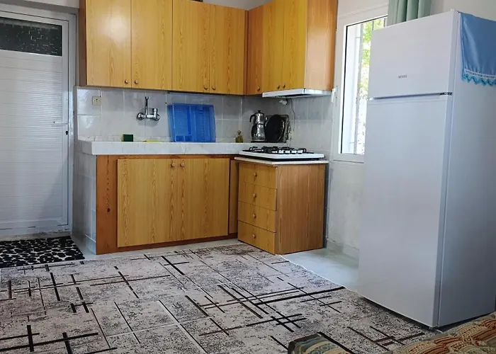 Prázdninový dům Olive Grove Mansion - Koesedere Village Karaburun (Izmir)