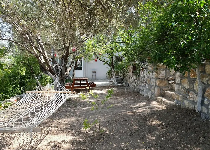 Prázdninový dům Olive Grove Mansion - Koesedere Village Karaburun (Izmir)