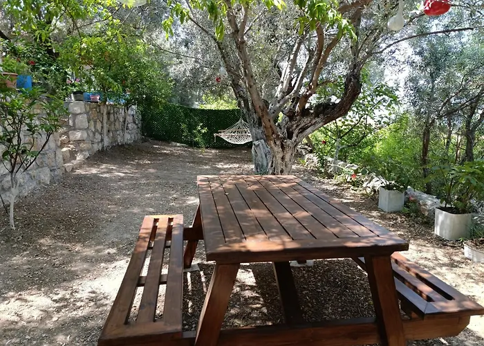 Prázdninový dům Olive Grove Mansion - Koesedere Village Karaburun (Izmir)